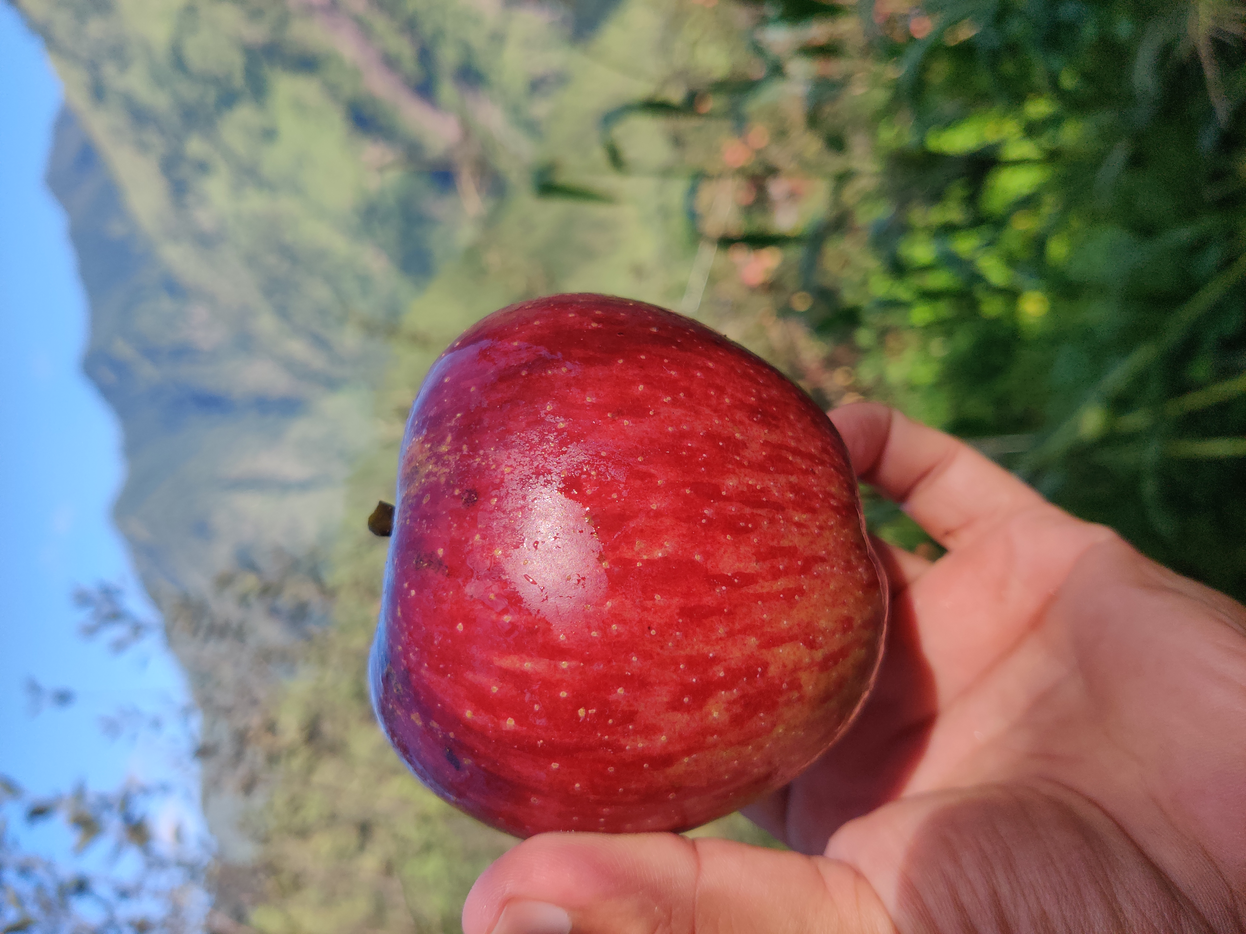 Apple crate ready for delivery